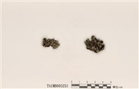 藏品(日本雪花衣)的圖片